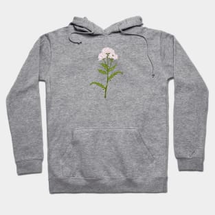 Yarraw Plant Botanical Hoodie